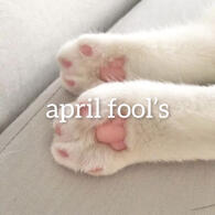 april fool’s